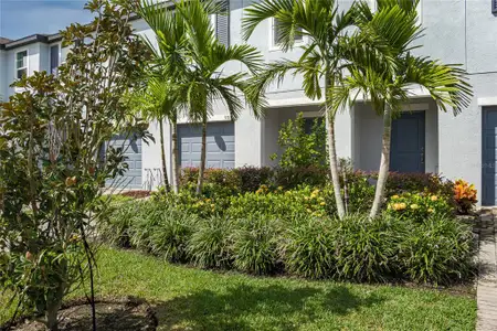 New construction Townhouse house 5519 Tripoli Dr, Palmetto, FL 34221 - image