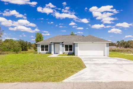 New construction Single-Family house 11133 Sw 131 Ter, Dunnellon, FL 34432 Benedicto- photo 0