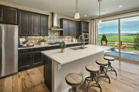 New construction Single-Family house 2081 Falling Leaf Dr, Windsor, CO 80550 Plan C407- photo 11 11