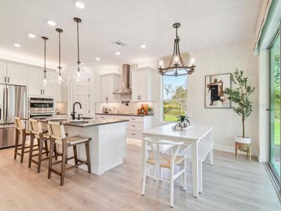 New construction Single-Family house 11324 Striped Bass Ct, New Port Richey, FL 34654 - image 5