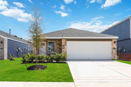 New construction Single-Family house 5214 Purple Beebalm Ln, Houston, TX 77048 plan Diana - image