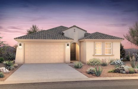 New construction Single-Family house 1430 W Flintlock Dr, San Tan Valley, AZ 85144 Cantania- photo 0 0