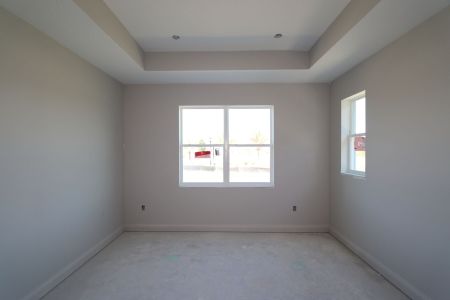 New construction Single-Family house 31205 Denham Ridge Ln, Wesley Chapel, FL 33545 Santa Monica- photo 75 75