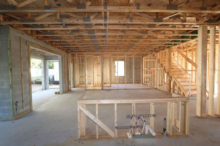 New construction Single-Family house 12008 Hilltop Farms Dr, Dade City, FL 33525 Alenza- photo 12 12