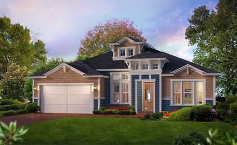 Tidewater by ICI Homes in Jacksonville - photo 22 22