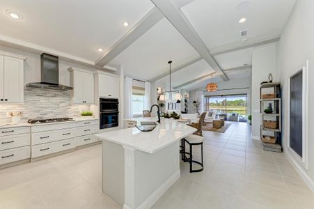 New construction Single-Family house 4108 Sea Marsh Pl, Parrish, FL 34219 plan St. Thomas - image 7