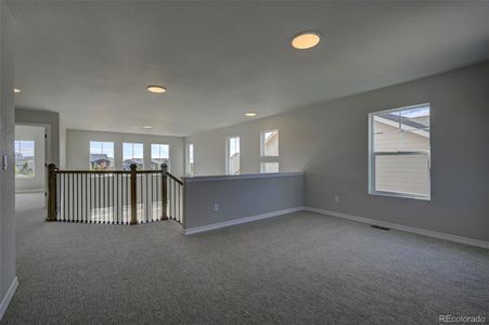 New construction Single-Family house 10137 Waterton Canyon Wy, Colorado Springs, CO 80924 - image 11