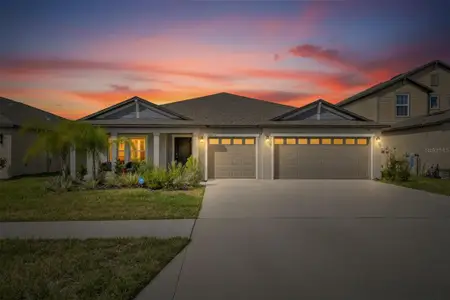 New construction Single-Family house 13054 Violet Flame Ave, Wimauma, FL 33598 plan Phoenix - image