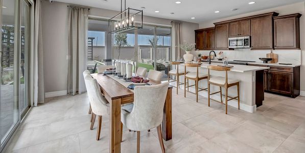 New construction Single-Family house 43460 N Hinoki St, Queen Creek, AZ 85140 plan Sapphire - image 11