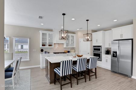 Silver Landing at SilverLeaf by Dream Finders Homes in St. Augustine - photo 21 21