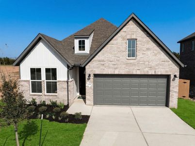 New construction Single-Family house 124 Silverbell Ln, Bastrop, TX 78602 plan Braeswood - image