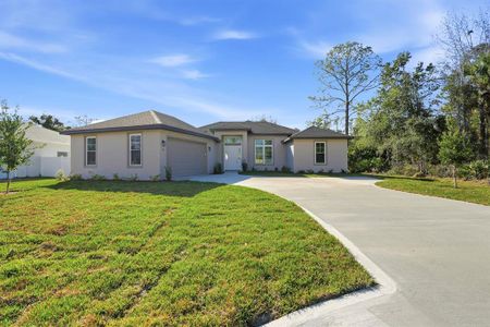 New construction Single-Family house 16 Pierce Ln, Palm Coast, FL 32164 - image