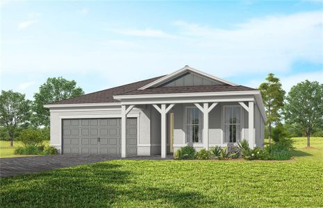New construction Single-Family house 6807 Sunrise Cove Dr, Clermont, FL 34711 plan Palmary - image