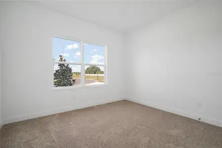 New construction Single-Family house 2951 Stewart Creek Cir, Plant City, FL 33565 plan Belmar - image 20