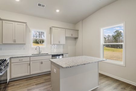 New construction Single-Family house 7067 Fairview Falls Dr, Chesnee, SC 29323 plan Dorchester - image 8