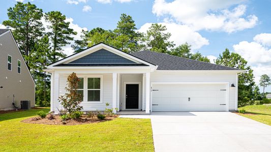 New construction Single-Family house 524 Sun Colony Blvd, Longs, SC 29568 plan Avondale - image