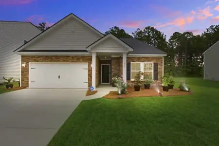New construction Single-Family house 626 Red Monarch Wy, Moncks Corner, SC 29461 - image