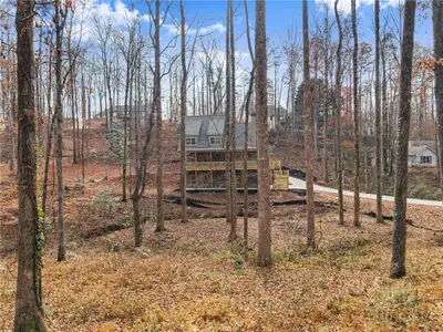 New construction Single-Family house 192 Browns Point Rd, Dawsonville, GA 30534 - image