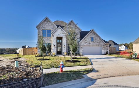 New construction Single-Family house 523 Koda Bear Ct, Montgomery, TX 77316 plan 3546W - image