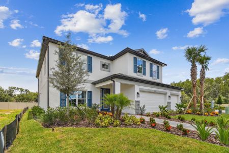 New construction Single-Family house 20014 Oriana Loop, Land O' Lakes, FL 34638 Coronado II- photo 5 5