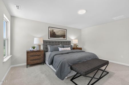 New construction Single-Family house 96 Eagle Rock Dr, Lillington, NC 27546 - image 4