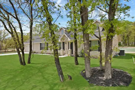 New construction Single-Family house 116 Sedona Creek Ct, Poolville, TX 76487 - image