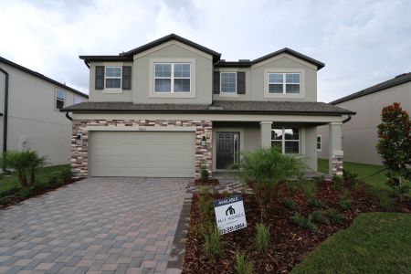 New construction Single-Family house 38433 Pindos Dr, Dade City, FL 33525 Mira Lago- photo 4 4