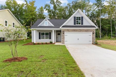 New construction Single-Family house 481 Woodberry Drive NE, Orangeburg, SC 29115 - image