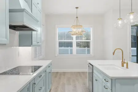 New construction Single-Family house 112 Beachview Dr, Ormond Beach, FL 32176 plan Amelia - image 8