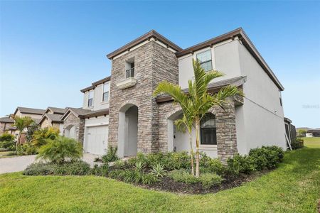 New construction Single-Family house 13176 Twin Bridges Dr, Riverview, FL 33579 null- photo 1 1