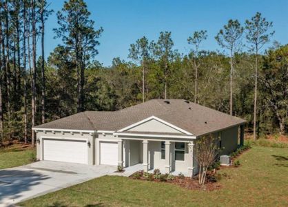 New construction Single-Family house 10560 Sw 49Th Avenue, Ocala, FL 34476 - photo 0