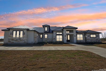 New construction Single-Family house 14022 William Blazeby, San Antonio, TX 78253 null- photo 2 2