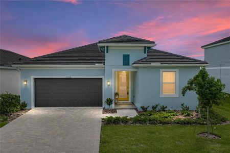 New construction Single-Family house 10368 Fieldstone Myrtle Wy, San Antonio, FL 33576 - image