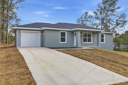 New construction Single-Family house 14328 Sw 31 Pl, Ocala, FL 34481 - image