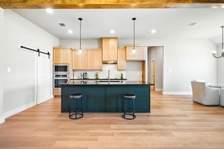 New construction Single-Family house 1114 Silver Sage Trl, Weatherford, TX 76085 - image 19