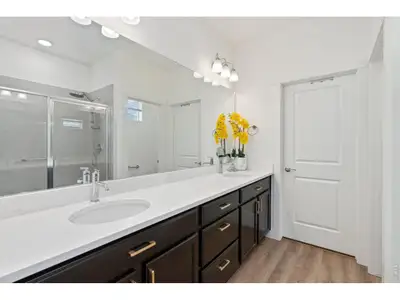 New construction Duplex house 5063 Mckinnon Ct, Timnath, CO 80547 plan Garden Series - Caraway - image 3