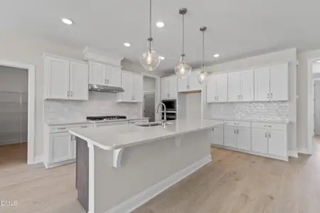 New construction Single-Family house 3204 Balcon Ct, Angier, NC 27501 - image 7