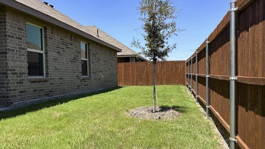 New construction Single-Family house 208 Deception Pass Ln, Caddo Mills, TX 75135 X40L Lakeway- photo 19 19