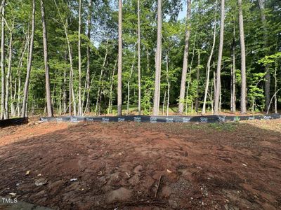 New construction Single-Family house 9421 Rawson Avenue, Raleigh, NC 27613 - photo 25 25