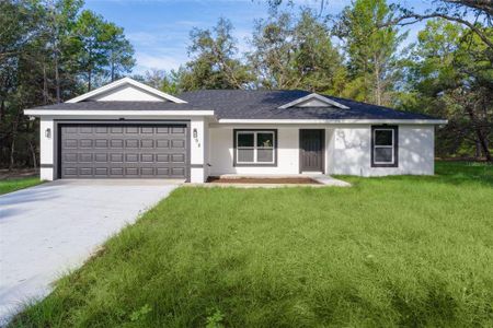 New construction Single-Family house 98 Malauka Pass Crse, Ocklawaha, FL 32179 - image