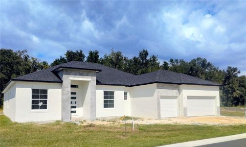 New construction Single-Family house 4208 Haven Lake Ct, Lakeland, FL 33813 - image