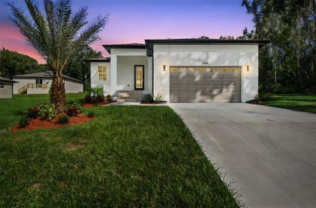 New construction Single-Family house 300 N Lemon Ave, Brooksville, FL 34601 - image