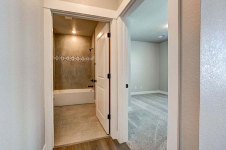 New construction Condo house 3425 Triano Creek Dr, Unit 101, Loveland, CO 80538 null- photo 50 50