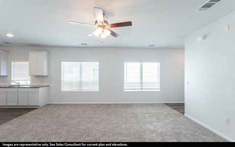 New construction Single-Family house 217 Everglades Dr, Kyle, TX 78640 Topaz- photo 2 2