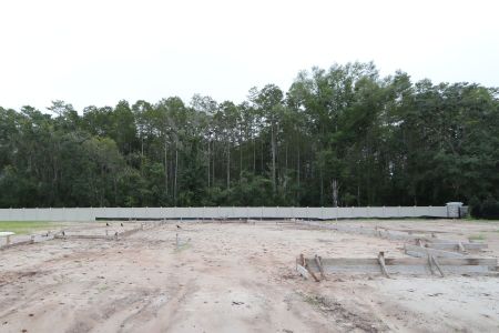 New construction Single-Family house 20339 Oriana Loop, Land O' Lakes, FL 34638 Newport II- photo 3 3