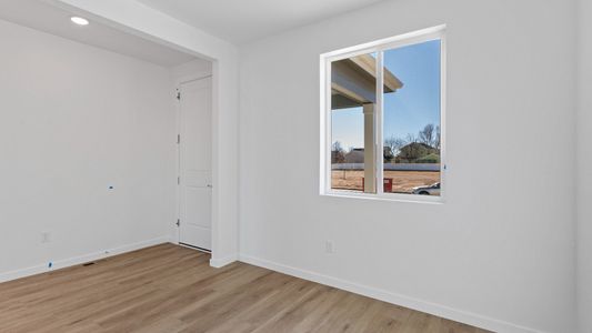 New construction Single-Family house 1448 Boyle St, Windsor, CO 80550 plan Kensington - image 6