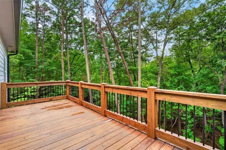 New construction Single-Family house 579 Julep Ct, Ellijay, GA 30540 - image