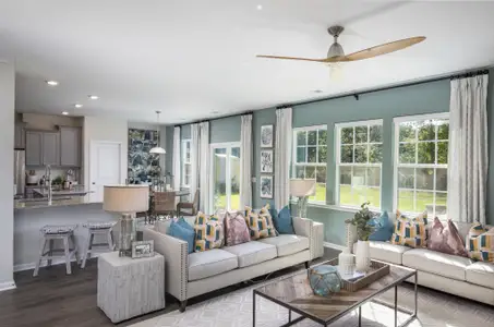 New construction Single-Family house 559 Red Monarch Wy, Moncks Corner, SC 29461 plan EVANS - image