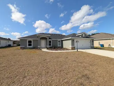 New construction Single-Family house 5441 Chestnut Ridge Rd, Dade City, FL 33523 - image