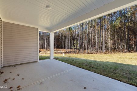 New construction Single-Family house 62 W Victoria Ridge Dr, Selma, NC 27576 - image 3